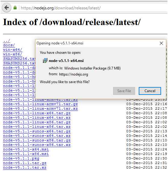 Node Package Manager